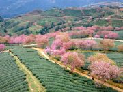 Top Travel Agencies in Malaysia