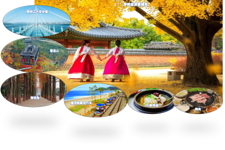 6D4N SPLENDID KOREA