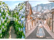 Top Travel Agencies in Malaysia
