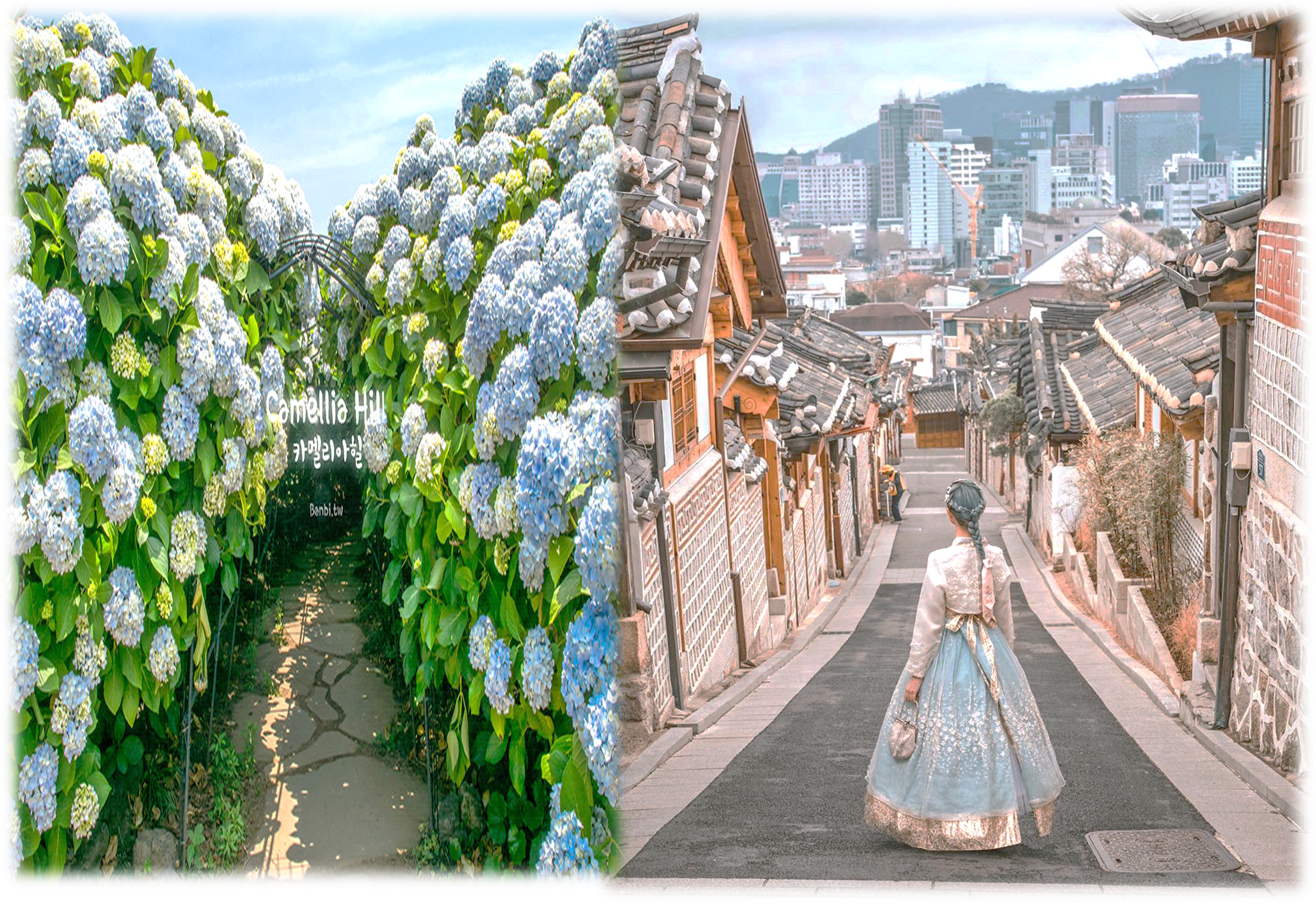 8D6N TRENDY KOREA SEOUL + JEJU ISLAND