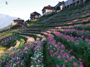 Top Travel Agencies in Malaysia