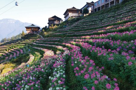 6D5N GUILIN~YANGSHUO~LONGSHEN~ LIPU~BUNI FLOWER SEA TERRACES