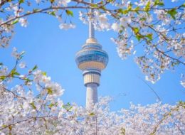 Top Travel Agencies in Malaysia