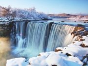 Top Travel Agencies in Malaysia