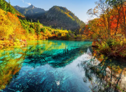 Top Travel Agencies in Malaysia