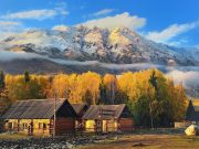 Top Travel Agencies in Malaysia