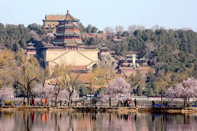 6D5N FLOWER VIEWING IN BEIJING + UNIVERSAL STUDIOS