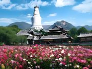 Top Travel Agencies in Malaysia