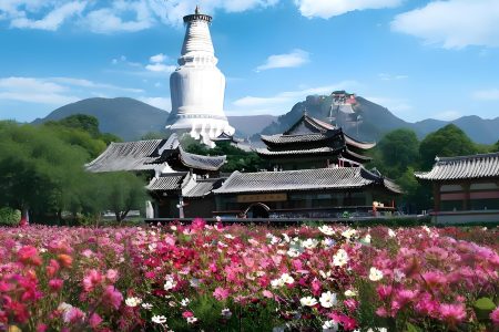 EXQUISITE HEBEI SHANXI BEIJING