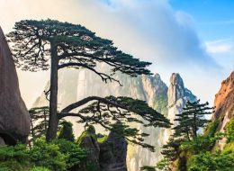 Top Travel Agencies in Malaysia