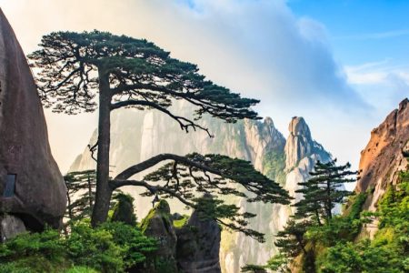 8D7N FANTASTIC HUANGSHAN TOUR