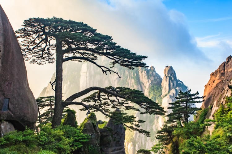 8D7N FANTASTIC HUANGSHAN TOUR