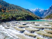 Top Travel Agencies in Malaysia