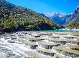 Top Travel Agencies in Malaysia