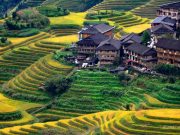 Top Travel Agencies in Malaysia