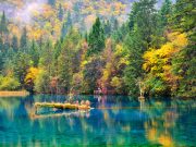 Top Travel Agencies in Malaysia