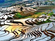 Top Travel Agencies in Malaysia