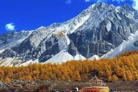 Top Travel Agencies in Malaysia