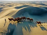 Top Travel Agencies in Malaysia