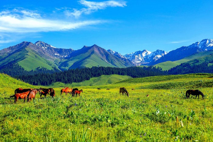 10D9N ALMATY-ZHARKENT-HORGOS-YINING-ZHAOSU-NALATI-KUYTUN-SAYRAM LAKE