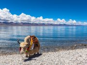 Top Travel Agencies in Malaysia