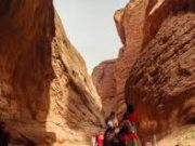 Top Travel Agencies in Malaysia