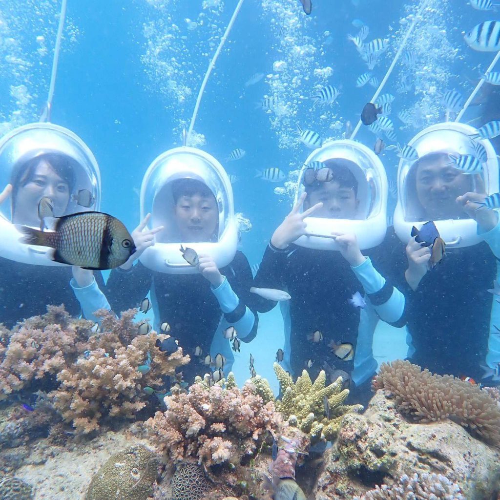 HELMET DIVE