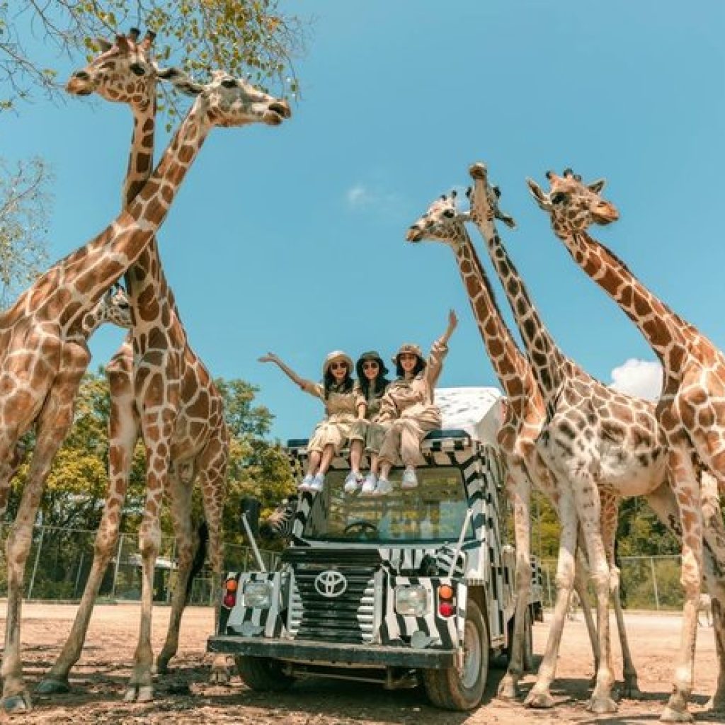 Safari Park Kanchanaburi