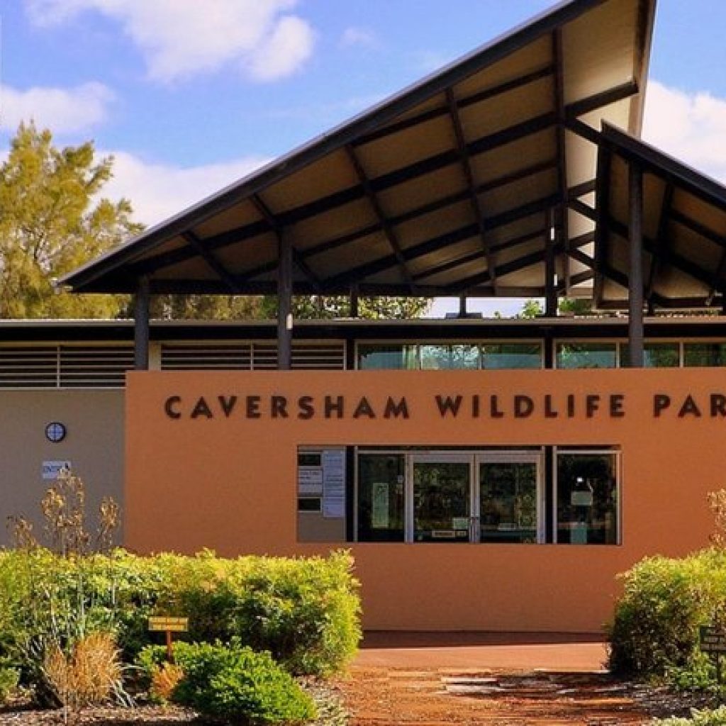 hli8undppssjdjjf7myx