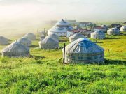 Top Travel Agencies in Malaysia