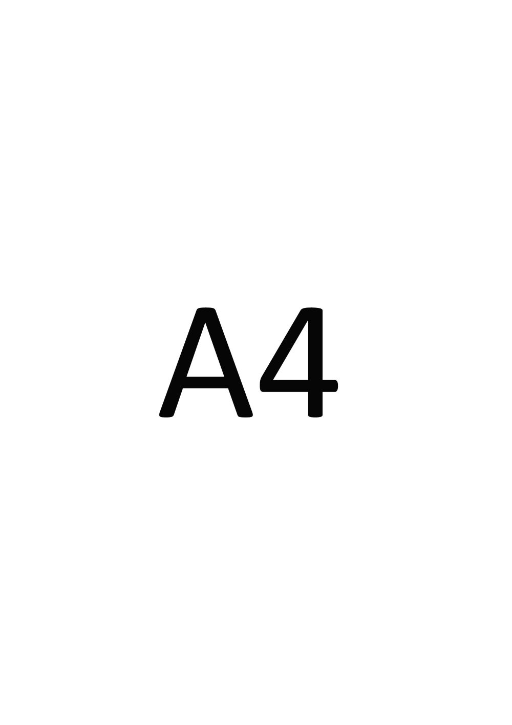 a4 smaller